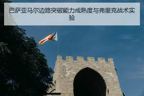ba-sa-ya-ma-er-bian-lu-tu-po-neng-li-cheng-shu-du-yu-fu-li-ke-zhan-shu-shi-yan-3-233.jpg