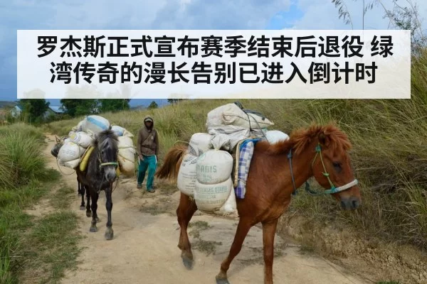 罗杰斯正式宣布赛季结束后退役 绿湾传奇的漫长告别已进入倒计时